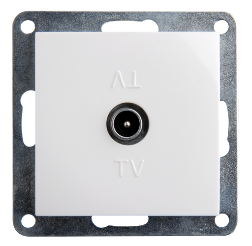 [GM10243] Tomas de televisión + placa